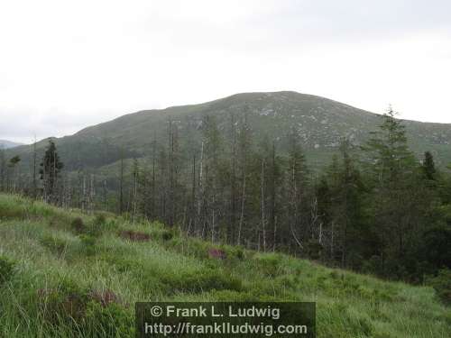 Slieve Daeane, Birds Mounatin